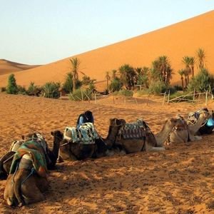 Las dunas del Erg Chebbi son parte del tour de 3 días desde Fez