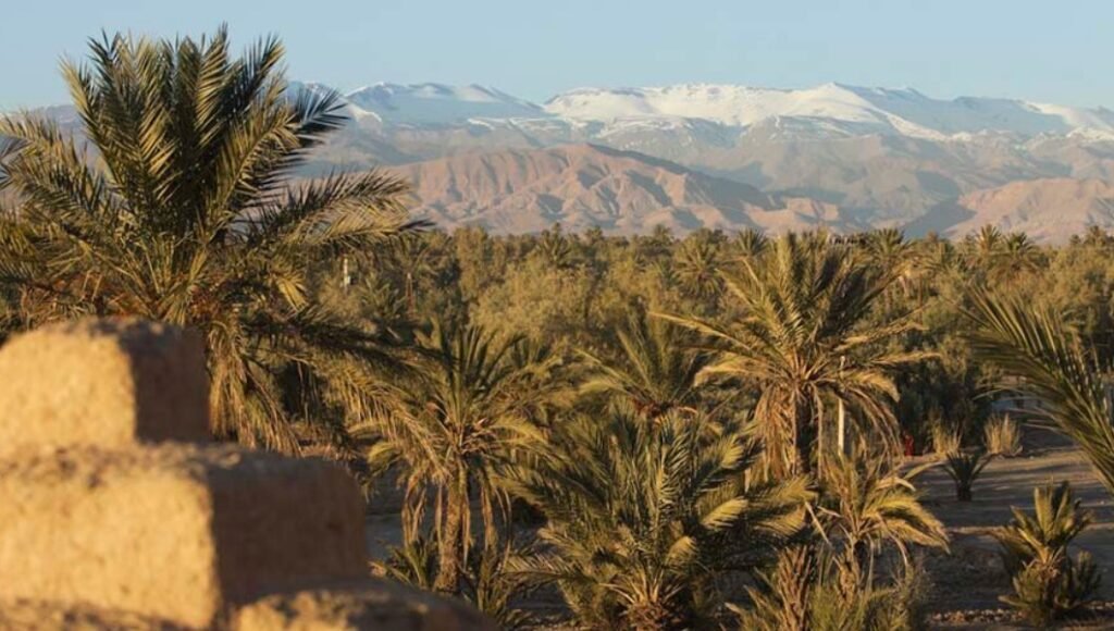 Los palmerales de Skoura son paisajes a ver durante el tour 10 días desde Fez